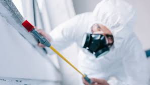 Best Pest Exclusion Services  in Warren, MN